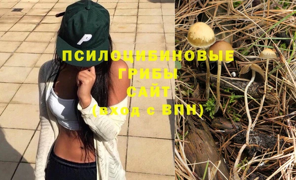 марки nbome Алзамай