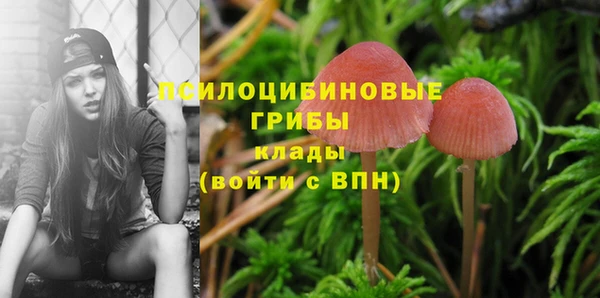 марки nbome Алзамай