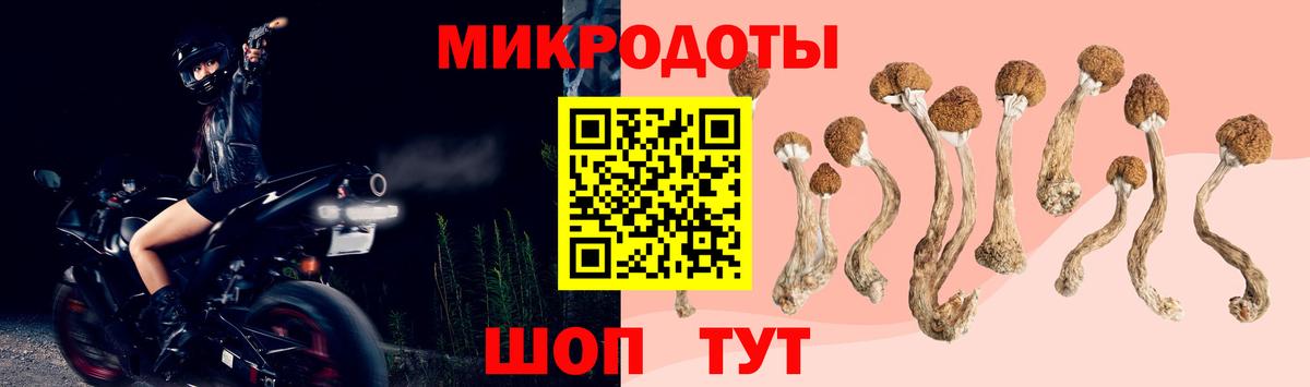 Галлюциногенные грибы прущие грибы Каменск-Уральский